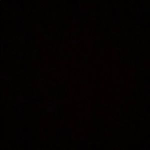 Meet your Posher, Daniela